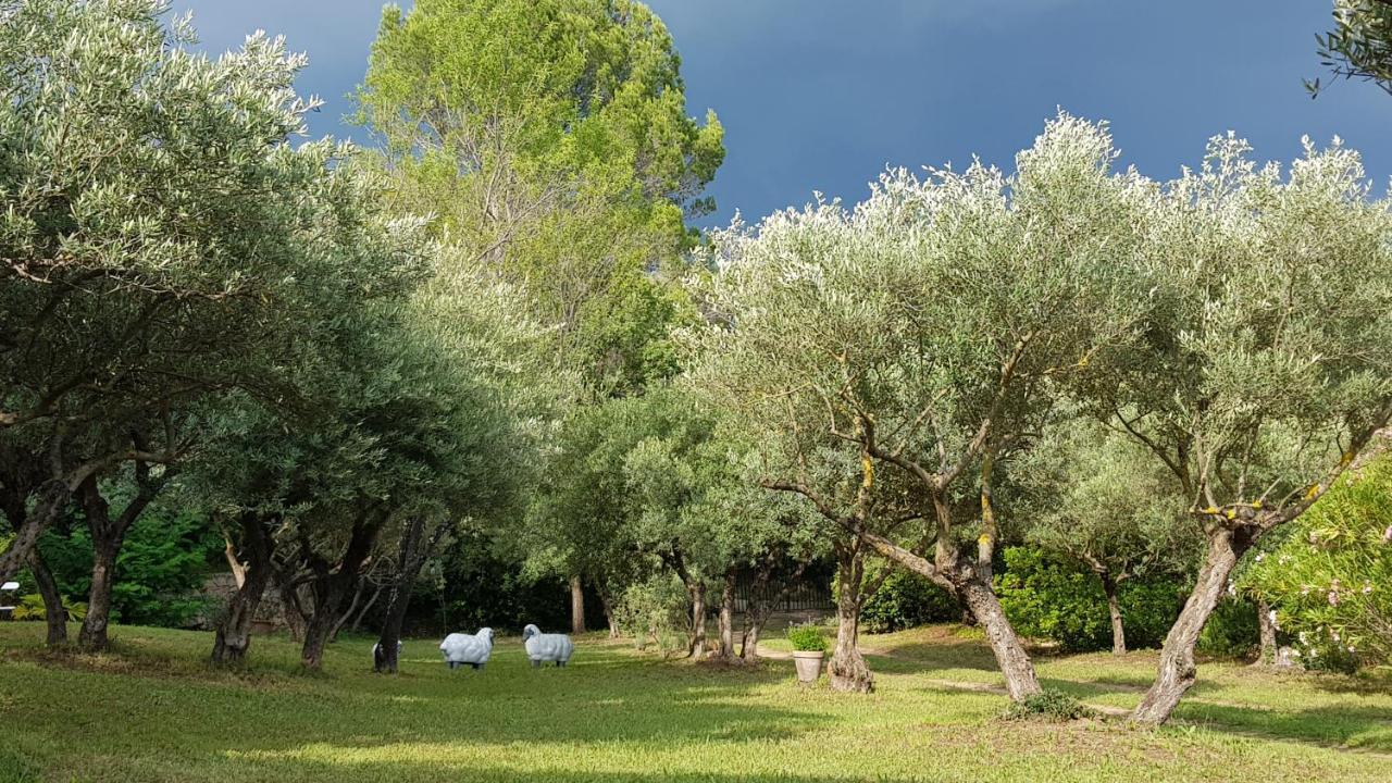 Pierres Blanches Bed and Breakfast Cotignac Εξωτερικό φωτογραφία