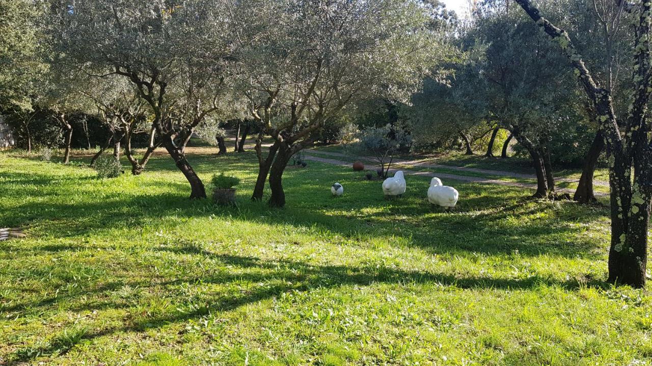 Pierres Blanches Bed and Breakfast Cotignac Εξωτερικό φωτογραφία