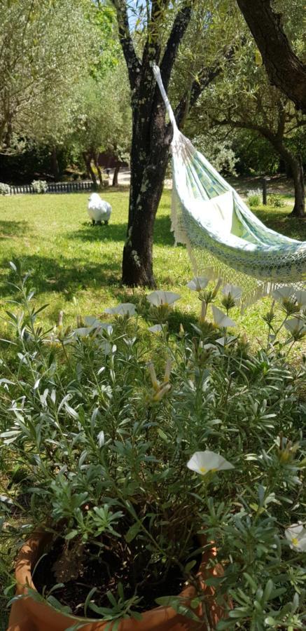 Pierres Blanches Bed and Breakfast Cotignac Εξωτερικό φωτογραφία